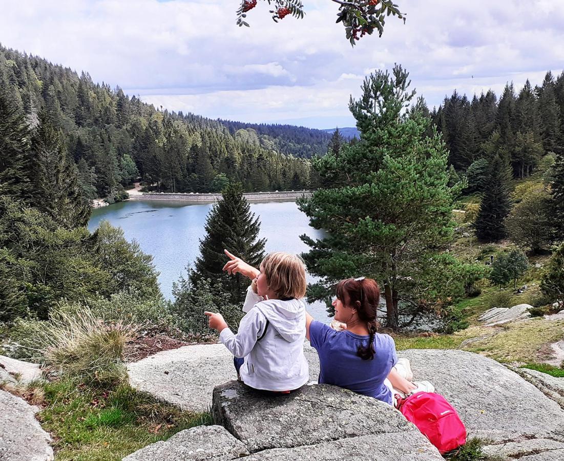 Chalet Hohneck 4 Etoiles, Vieux Bois Et Pierre, Spa, Sauna, Borne De Recharge Stosswihr Екстериор снимка