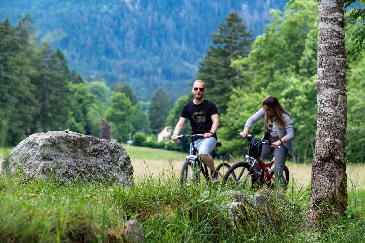 Chalet Hohneck 4 Etoiles, Vieux Bois Et Pierre, Spa, Sauna, Borne De Recharge Stosswihr Екстериор снимка