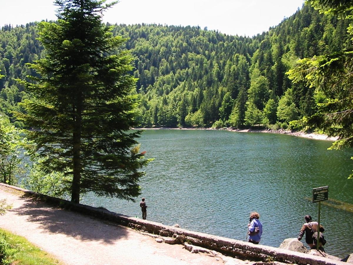Chalet Hohneck 4 Etoiles, Vieux Bois Et Pierre, Spa, Sauna, Borne De Recharge Stosswihr Екстериор снимка